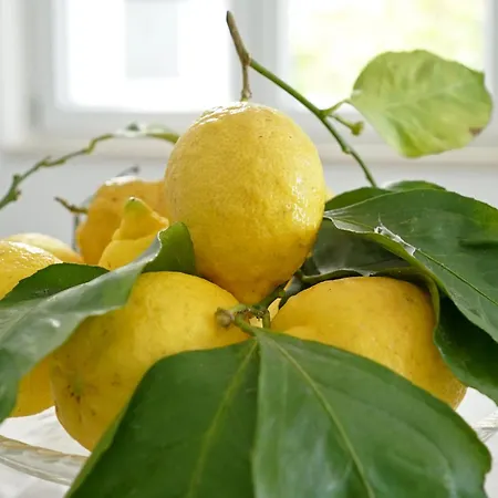 Seaside Magic Dream View Apartment *